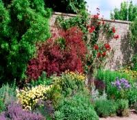 Wall garden